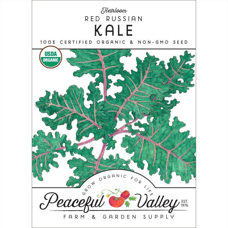 Red Russian Kale Seeds (Organic) - Tampa Home & Garden Store