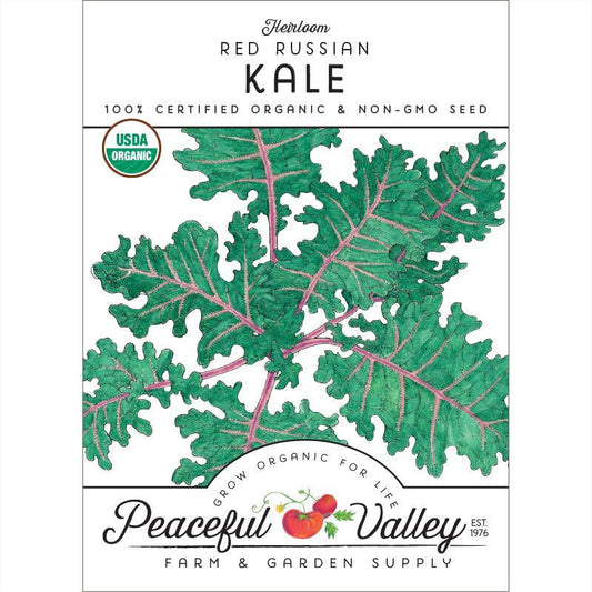 Red Russian Kale Seeds (Organic) - Tampa Home & Garden Store
