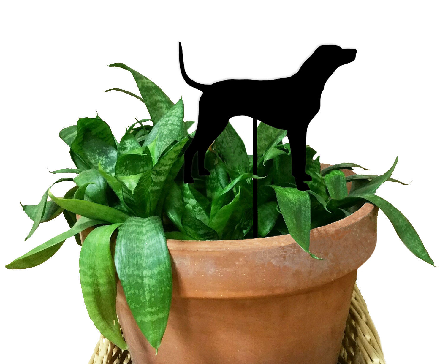 Redbone Plant Stake black dog silhouette atop a terracotta pot with green leafy plant on Tampa Home & Garden Store