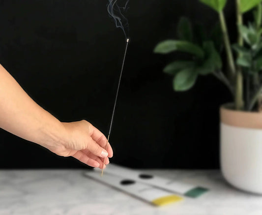 Reef Incense stick held in hand, thin black rod with smoke against a dark background on Tampa Home & Garden Store