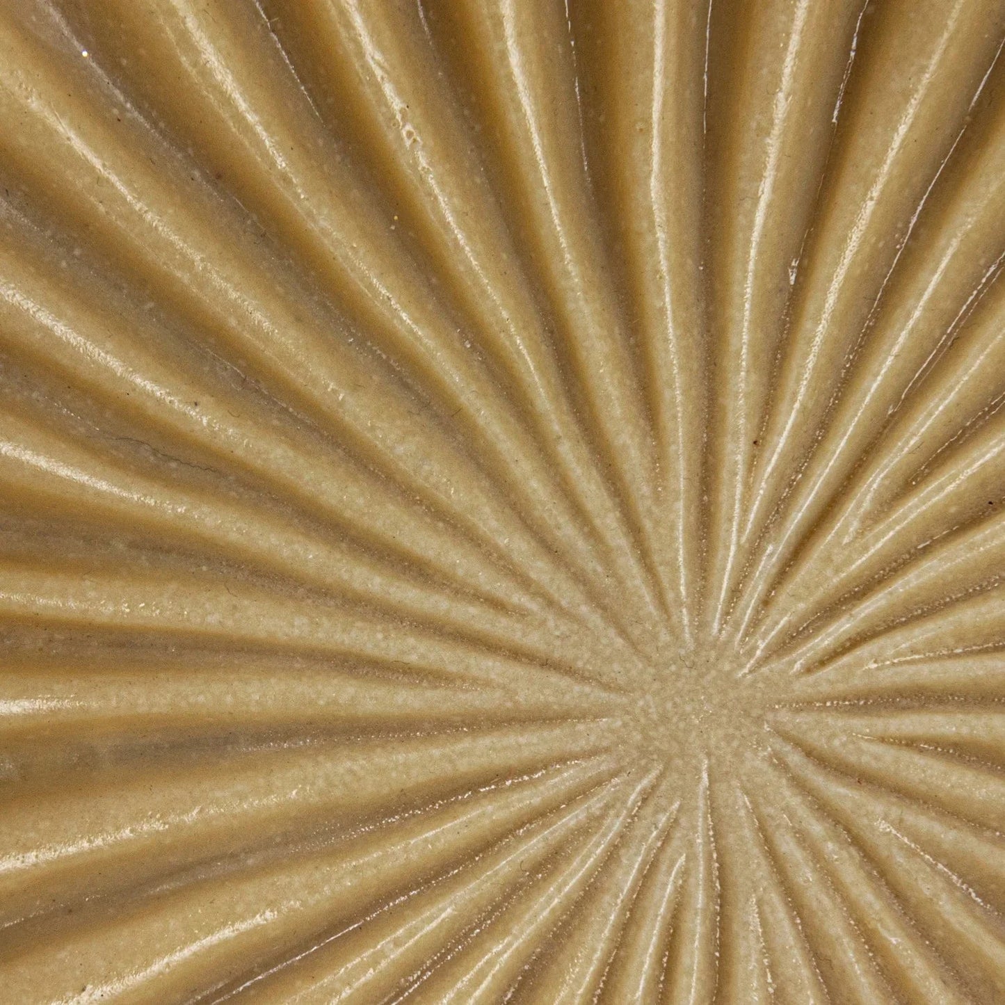 Resin Pleated Bowl - Tampa Home & Garden Store
