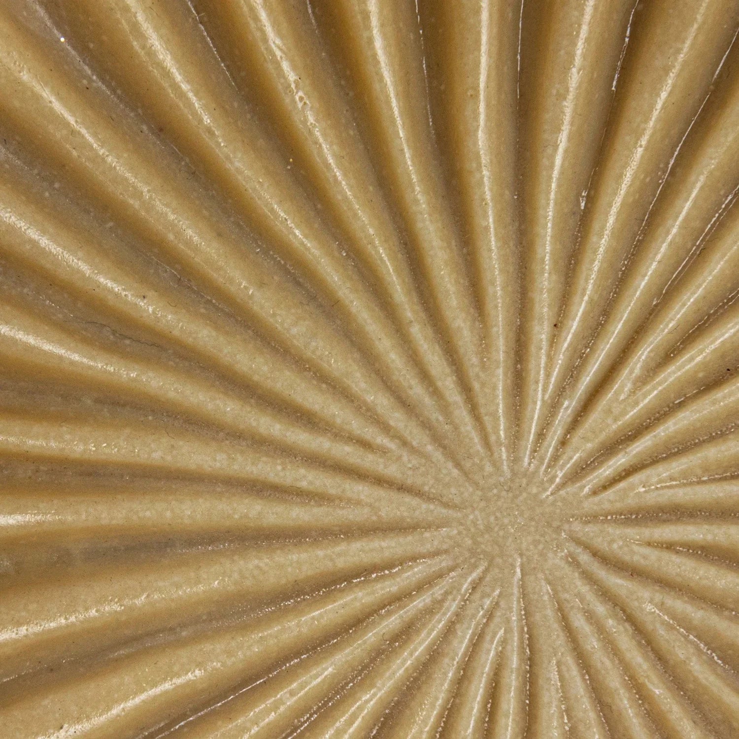 Resin Pleated Bowl - Tampa Home & Garden Store