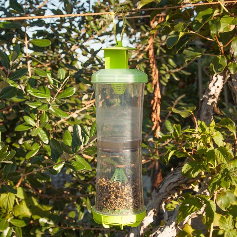 Reusable W-H-Y Trap with Attractant - Tampa Home & Garden Store
