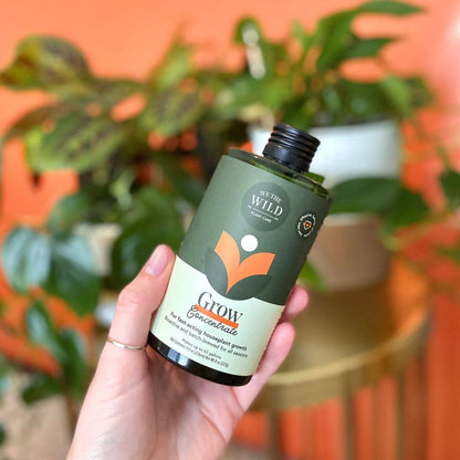 Revive and Thrive Duo Kit - Tampa Home & Garden Store