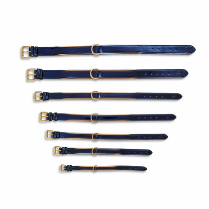 Revolution patent blue leather dog collar by Halter Ego® with gold buckle and ring, set of collars on Tampa Home & Garden Store