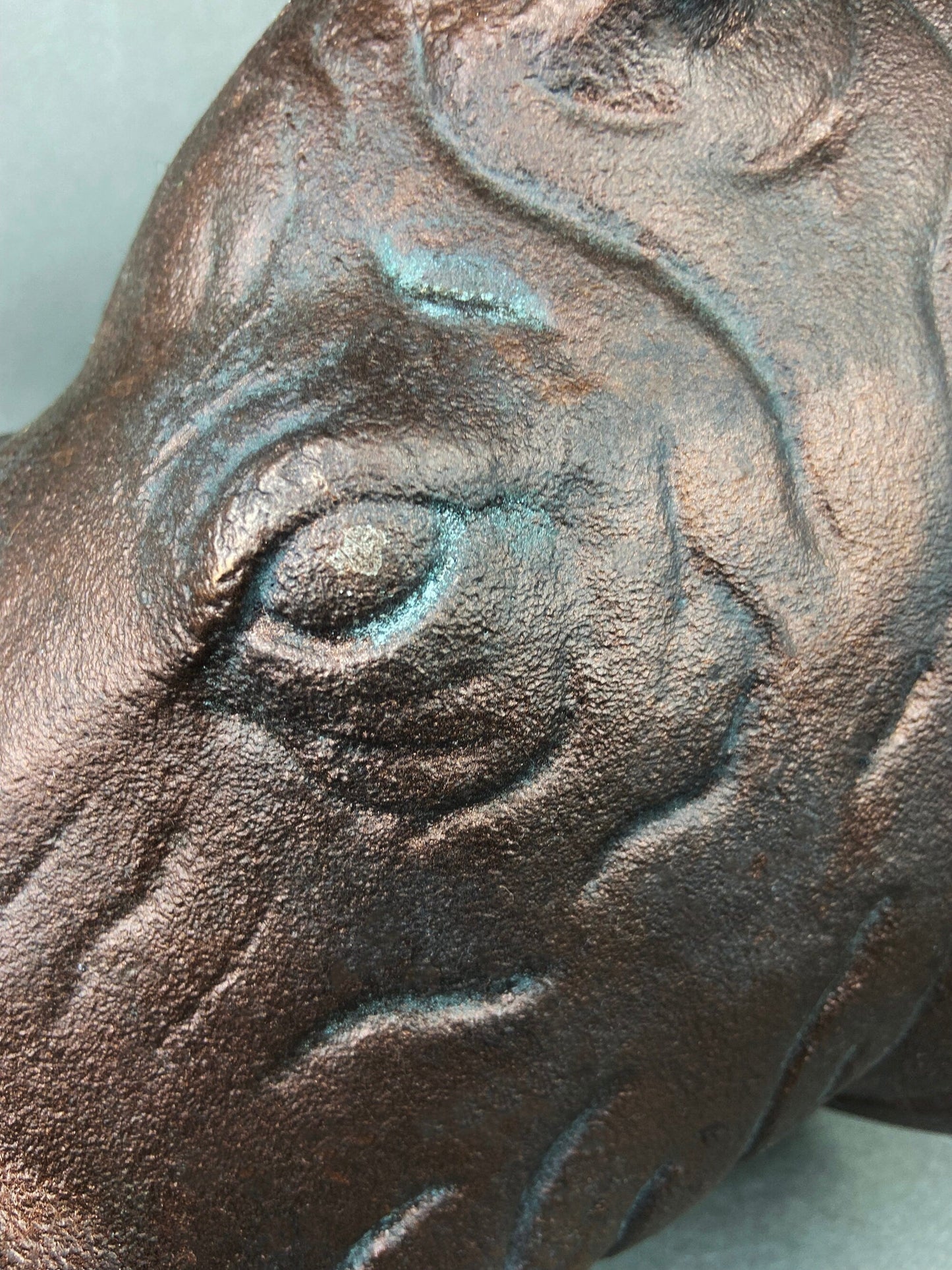 Rhino Bust Wall Hanging.  Large Rhino Sculpture or Figurine. Distressed Bronze Wall Decor. Safari Lovers. - Tampa Home & Garden Store