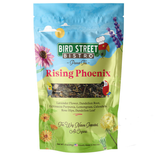 Rising Phoenix Parrot Tea - Tampa Home & Garden Store