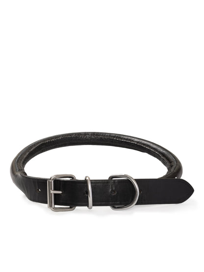 Rolled Leather Dog Collar - Tampa Home & Garden Store