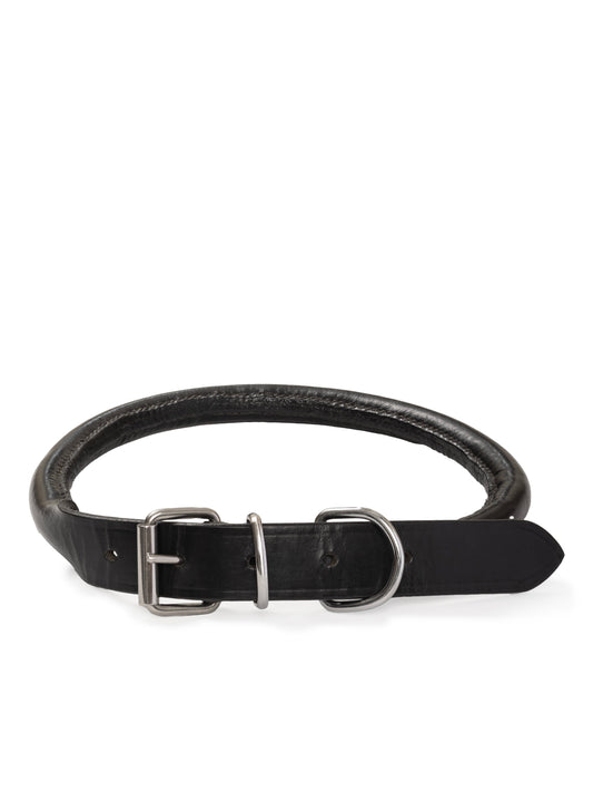 Rolled Leather Dog Collar - Tampa Home & Garden Store