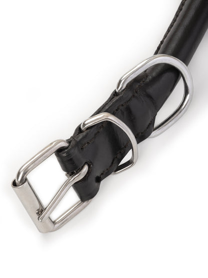 Rolled Leather Dog Collar - Tampa Home & Garden Store