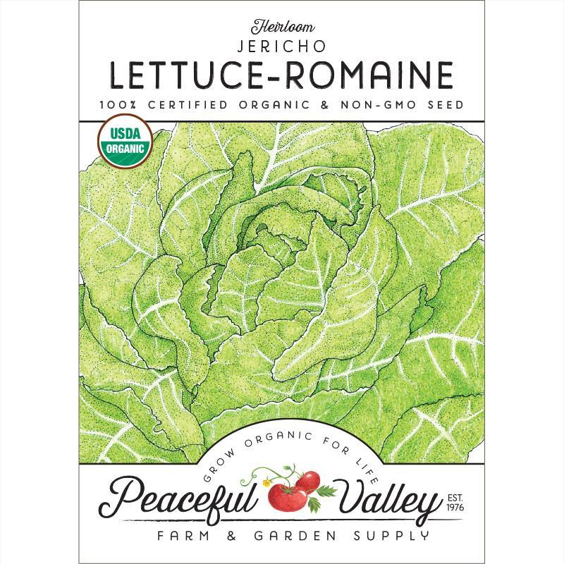 Romaine, Jericho Lettuce Seeds (Organic) - Tampa Home & Garden Store