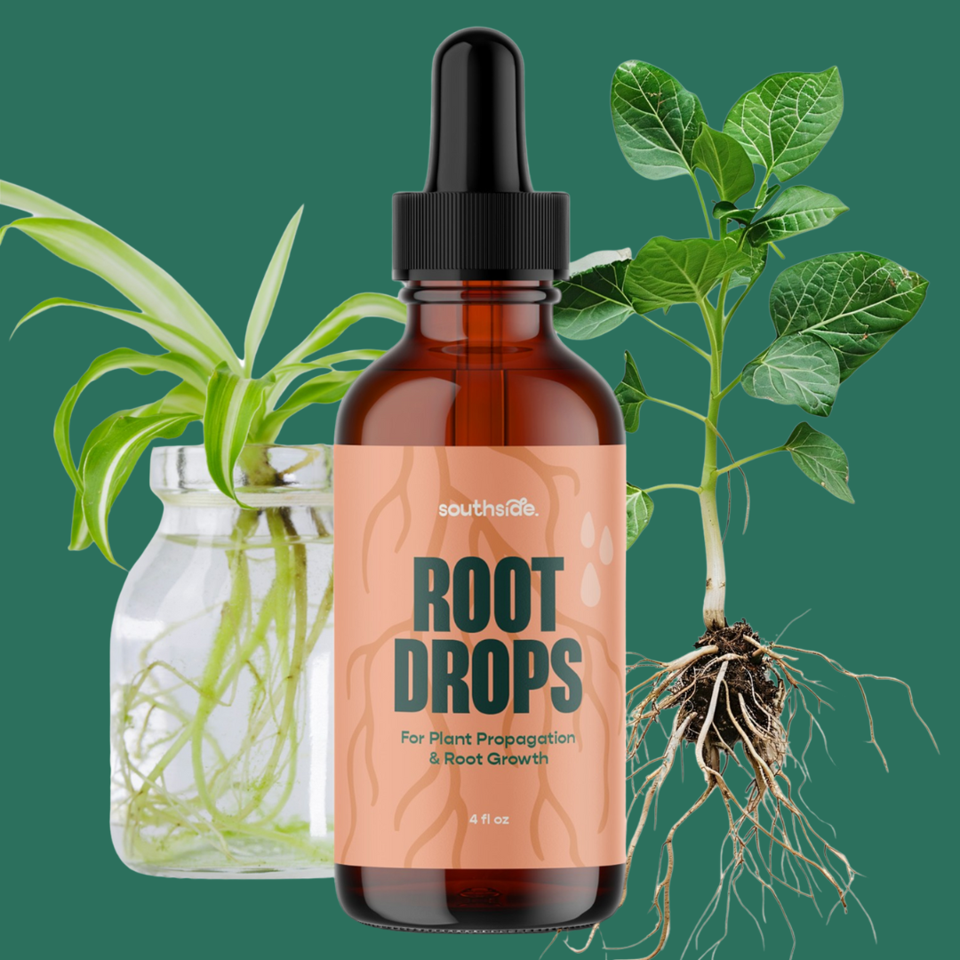 Root Drops - For Propagations & Repotting - Tampa Home & Garden Store