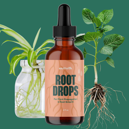 Root Drops - For Propagations & Repotting - Tampa Home & Garden Store