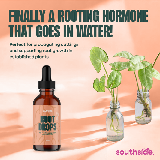 Root Drops - For Propagations & Repotting - Tampa Home & Garden Store