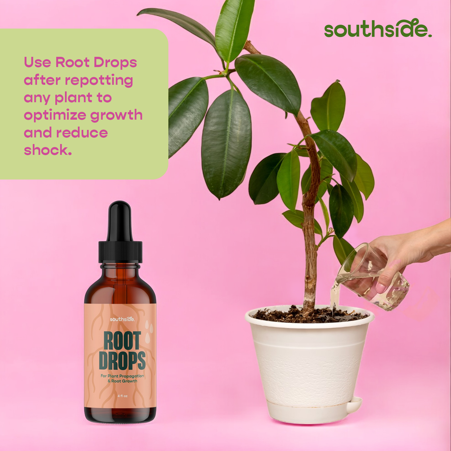 Root Drops - For Propagations & Repotting - Tampa Home & Garden Store