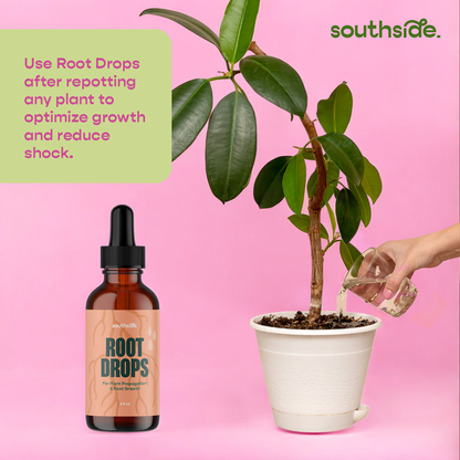 Root Drops - For Propagations & Repotting - Tampa Home & Garden Store