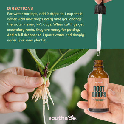 Root Drops - For Propagations & Repotting - Tampa Home & Garden Store