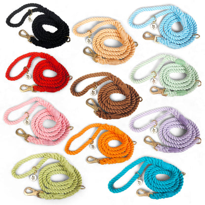 Rope Leash - Tampa Home & Garden Store
