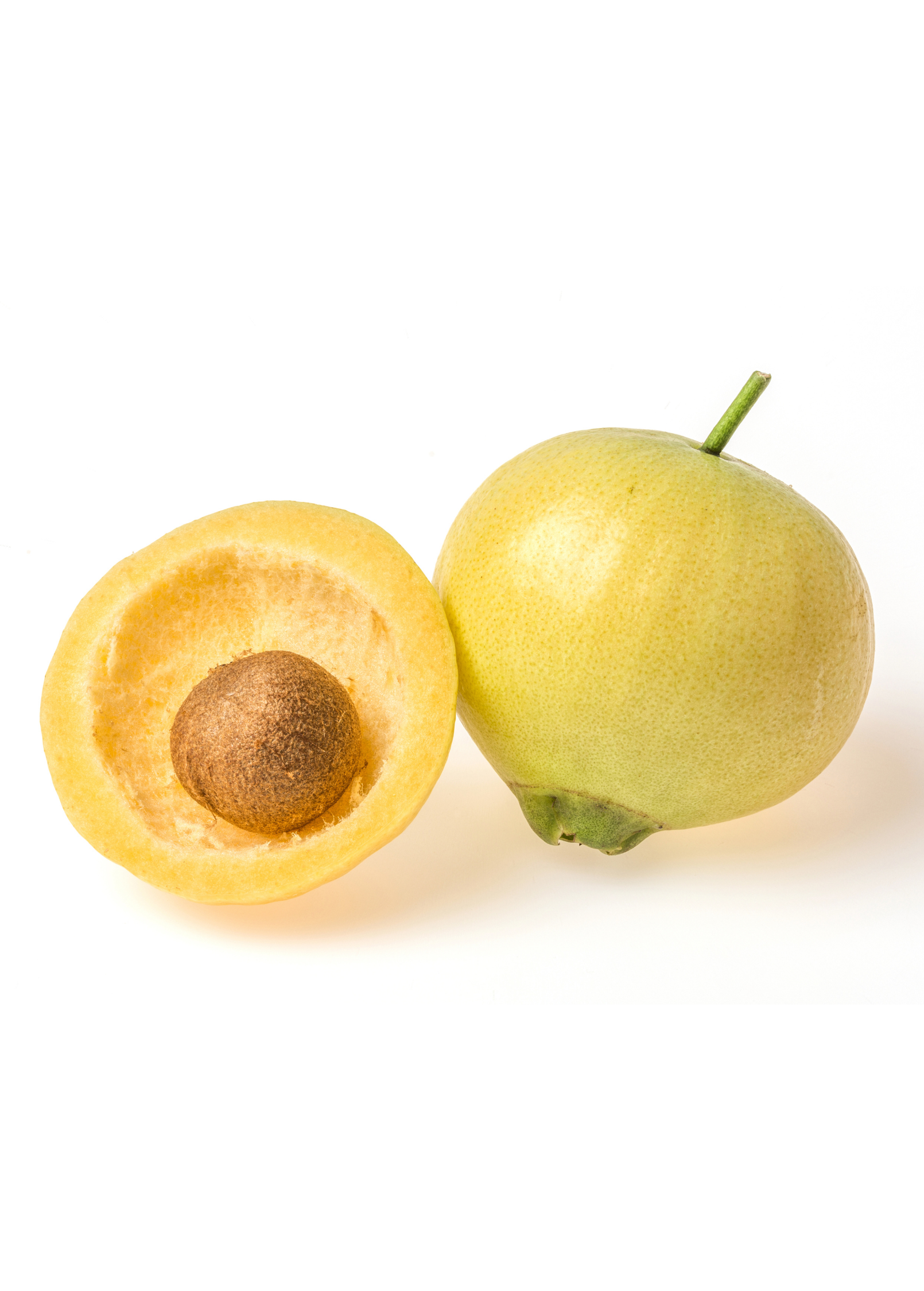 Rose Apple (Syzygium jambos) - Tampa Home & Garden Store