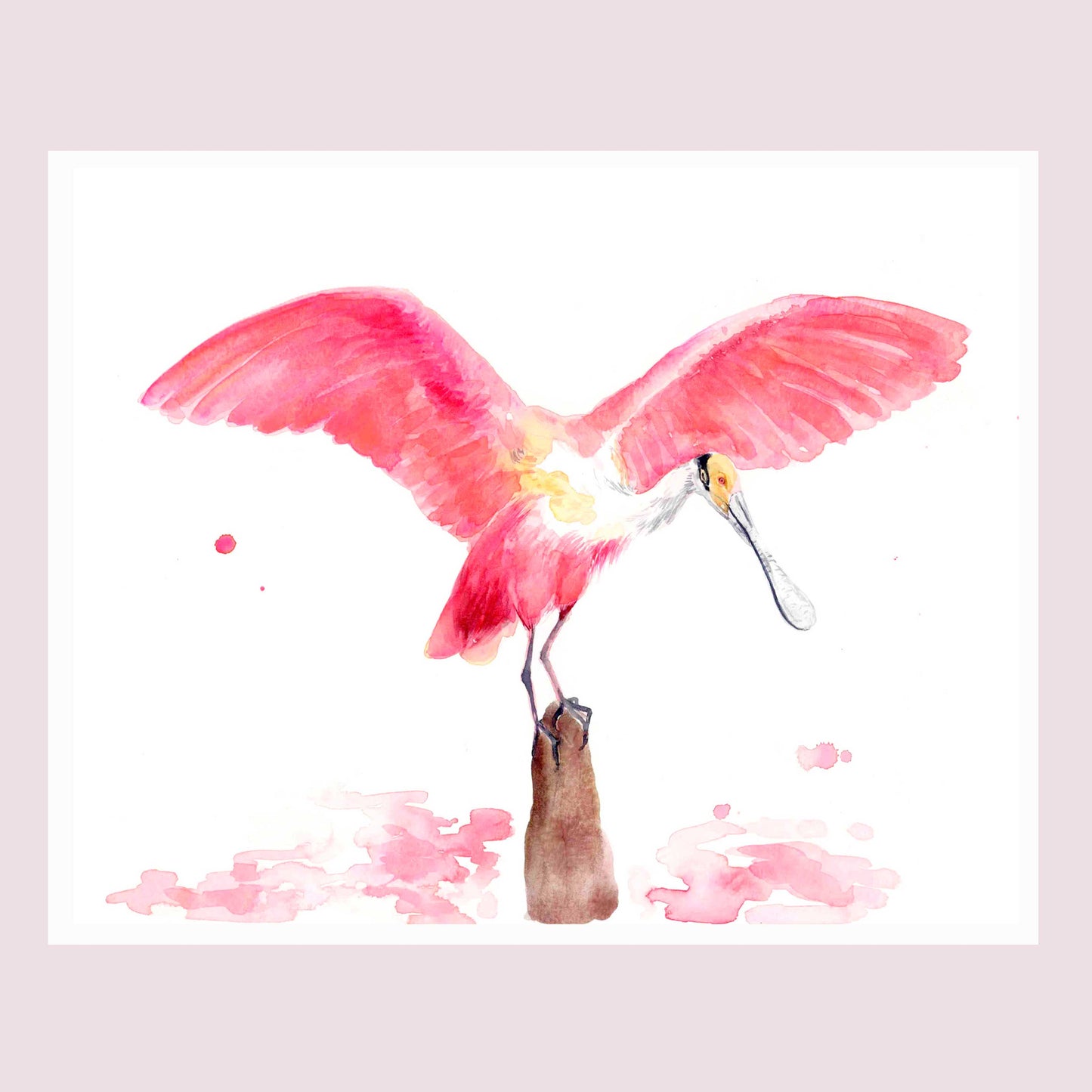 Roseate Spoonbill - Tampa Home & Garden Store