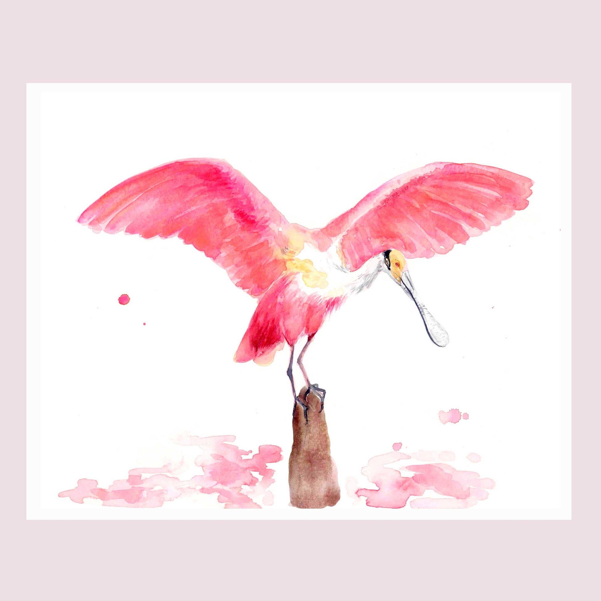 Roseate Spoonbill - Tampa Home & Garden Store