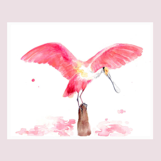 Roseate Spoonbill - Tampa Home & Garden Store