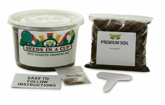 Rosemary Grow Kit - Tampa Home & Garden Store