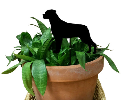 Rottweiler Plant Stake (style 1) black silhouette perched on a snake plant in a Rustica pot on Tampa Home & Garden Store