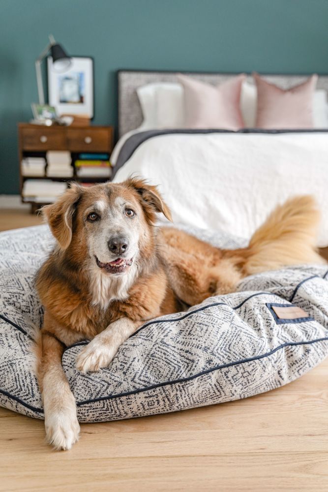 Round Pet Bed in Sapphire Spaniel - Tampa Home & Garden Store