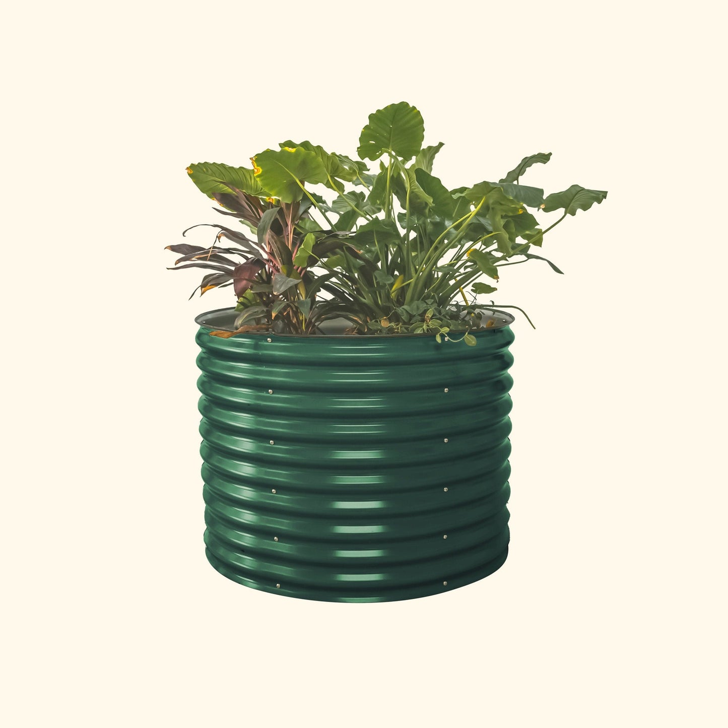 32" Tall 42" Round Raised Garden Bed Kit | 20yr Steel - Tampa soil911.com