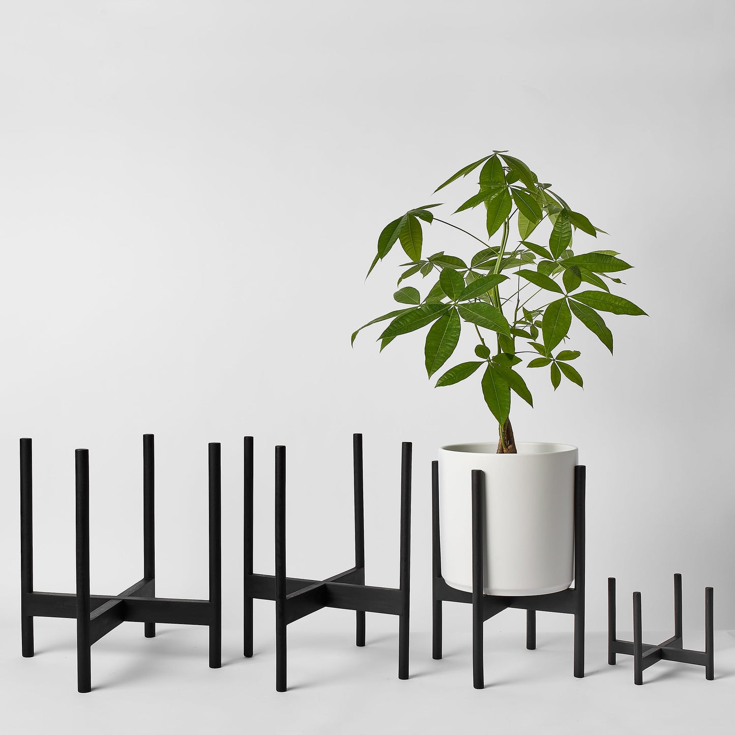 Support à plantes arrondi en bois dur