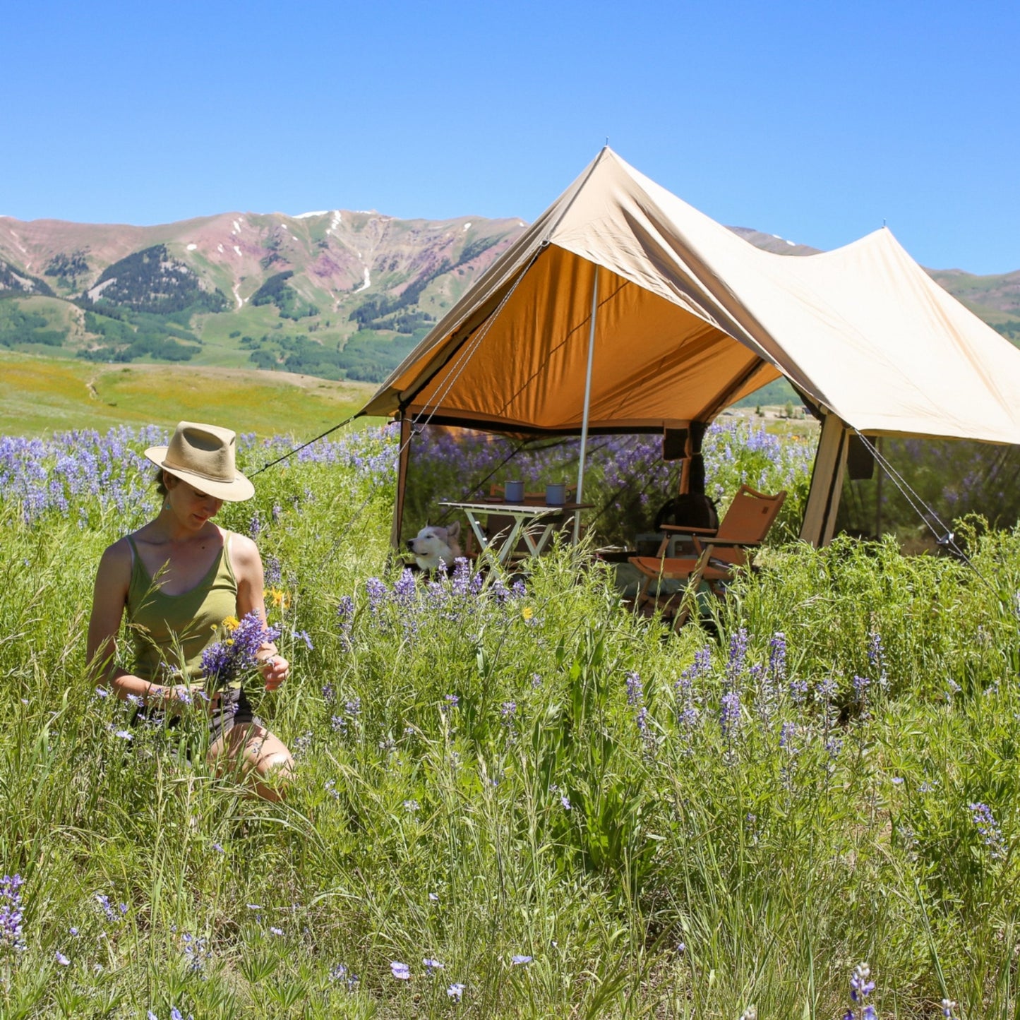 Rover Scout Tent - Tampa Home & Garden Store