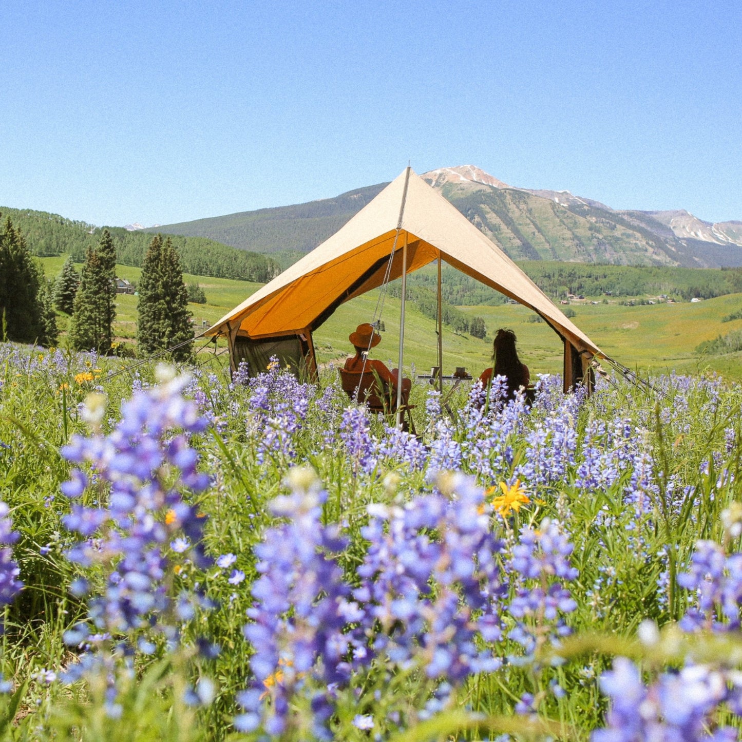 Rover Scout Tent - Tampa Home & Garden Store