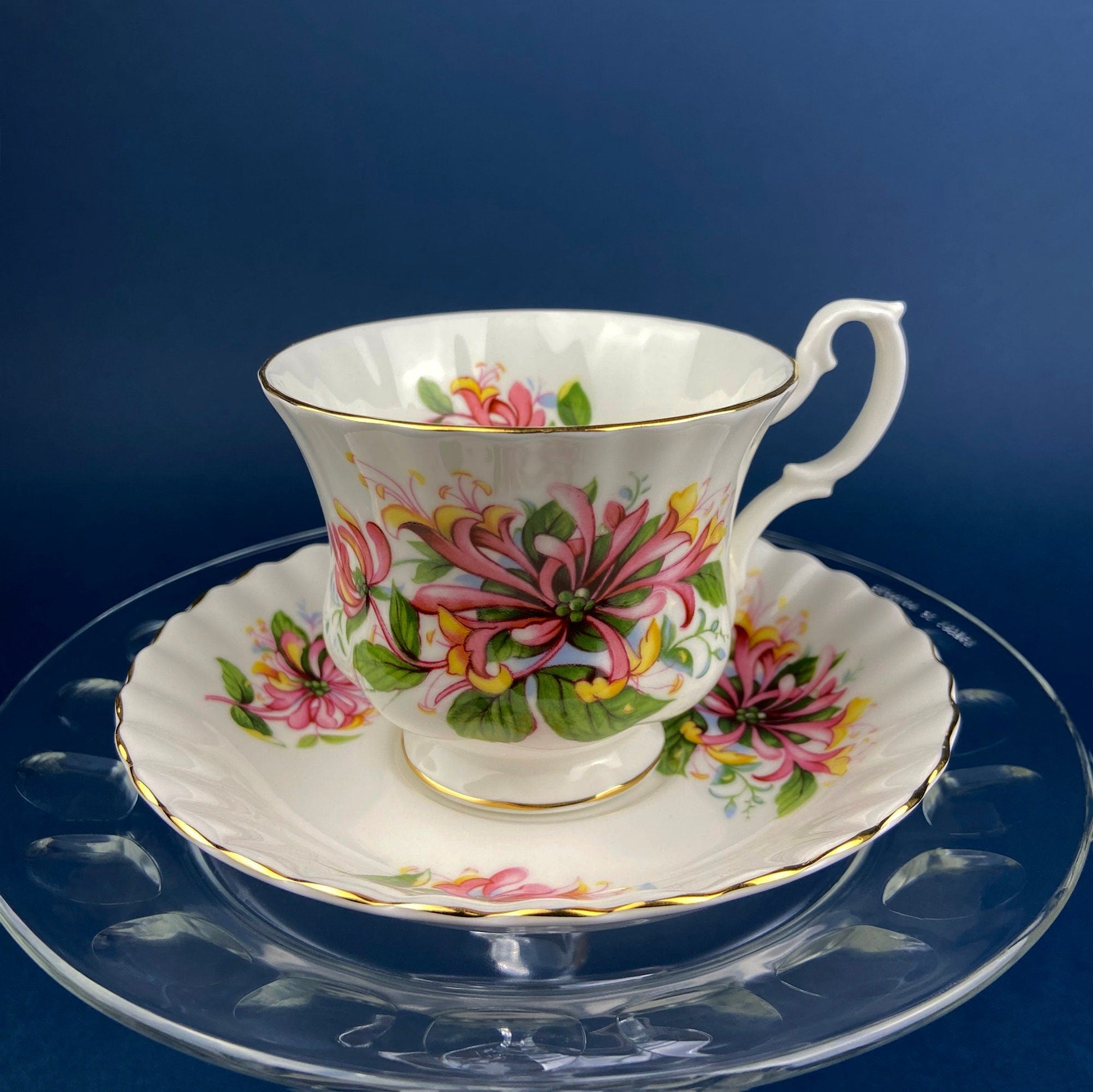 Royal Albert Prudence Teacup and Saucer: Dainty Dina Series, Fine Bone China - Tampa Home & Garden Store