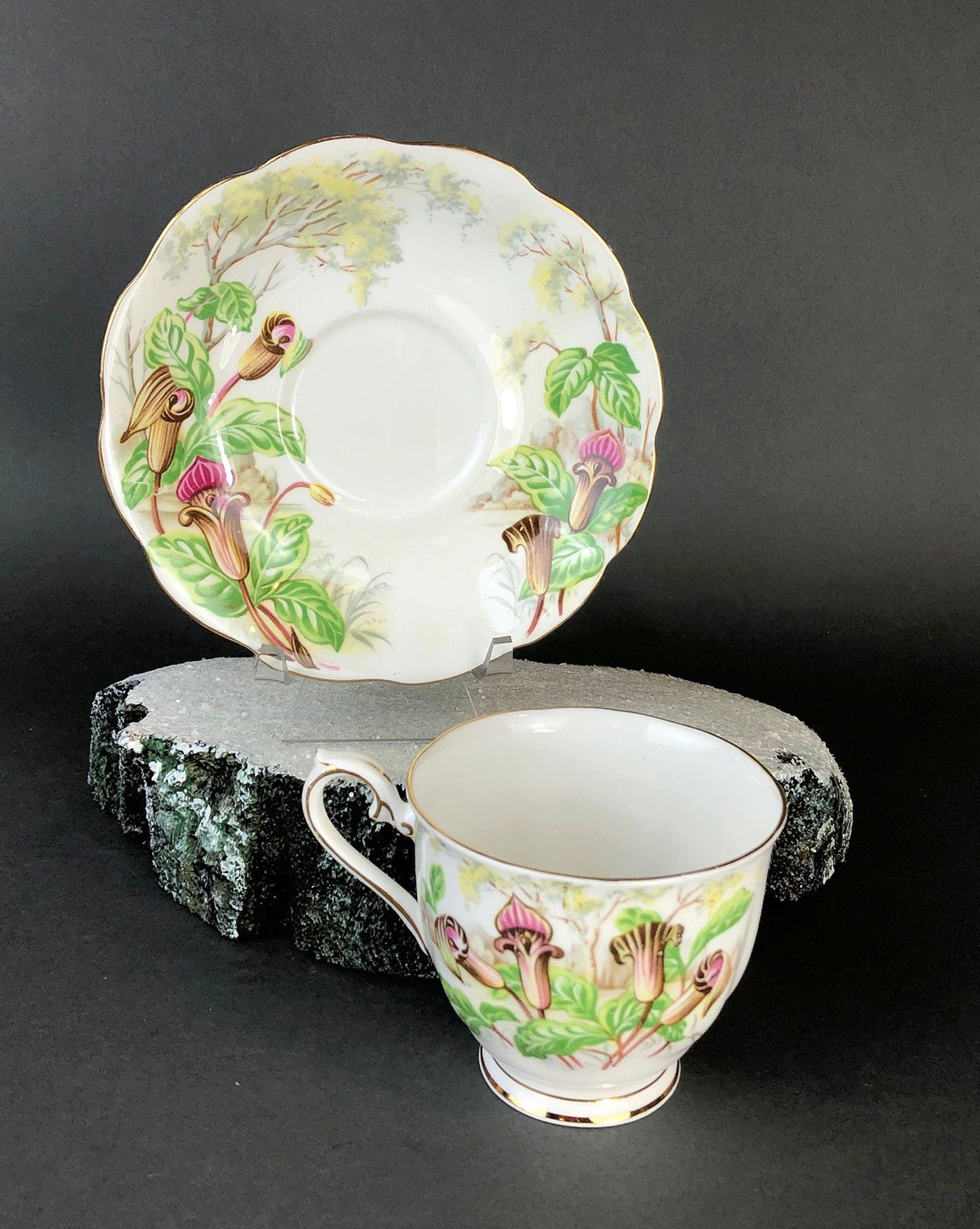 Royal Albert Teacup with Saucer. Tea Set with Jack- in-a-Pulpit. Intricate Handle and Scalloped Saucer, Made in England. - Tampa Home & Garden Store