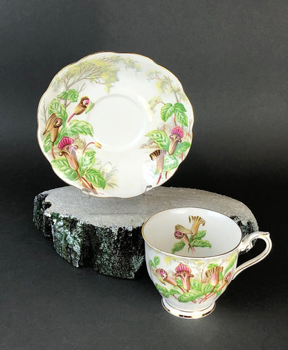 Royal Albert Teacup with Saucer. Tea Set with Jack- in-a-Pulpit. Intricate Handle and Scalloped Saucer, Made in England. - Tampa Home & Garden Store