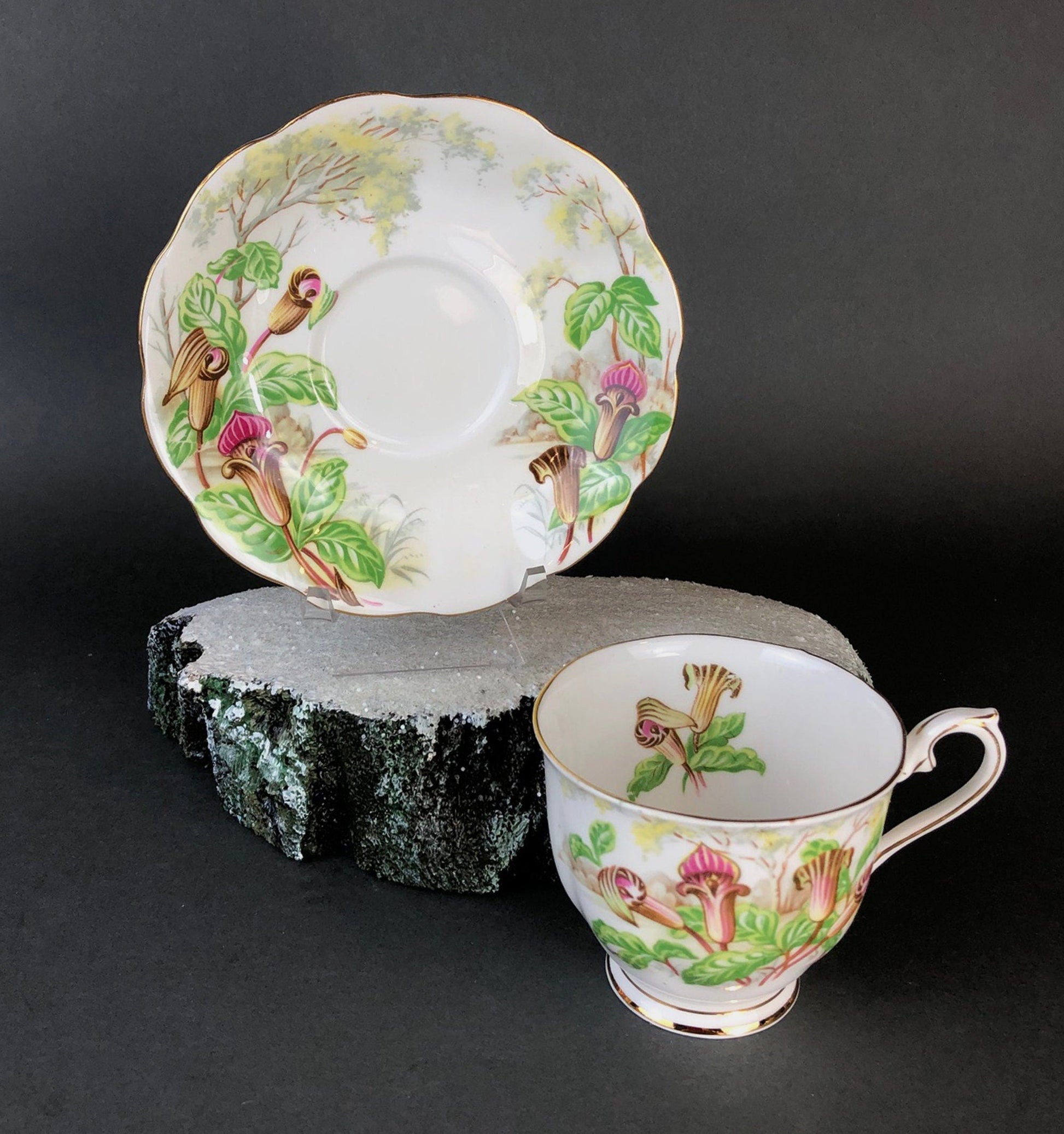 Royal Albert Teacup with Saucer. Tea Set with Jack- in-a-Pulpit. Intricate Handle and Scalloped Saucer, Made in England. - Tampa Home & Garden Store