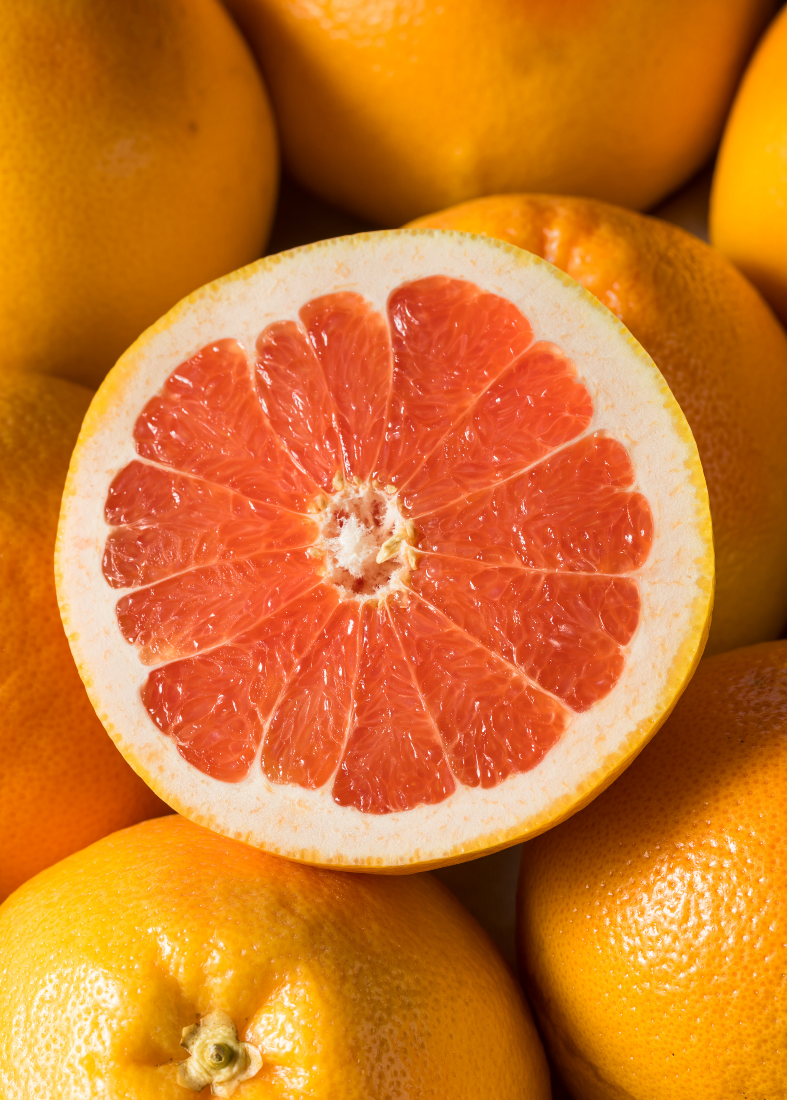 Ruby Red Grapefruit Tree (Citrus × paradisi) - Tampa Home & Garden Store