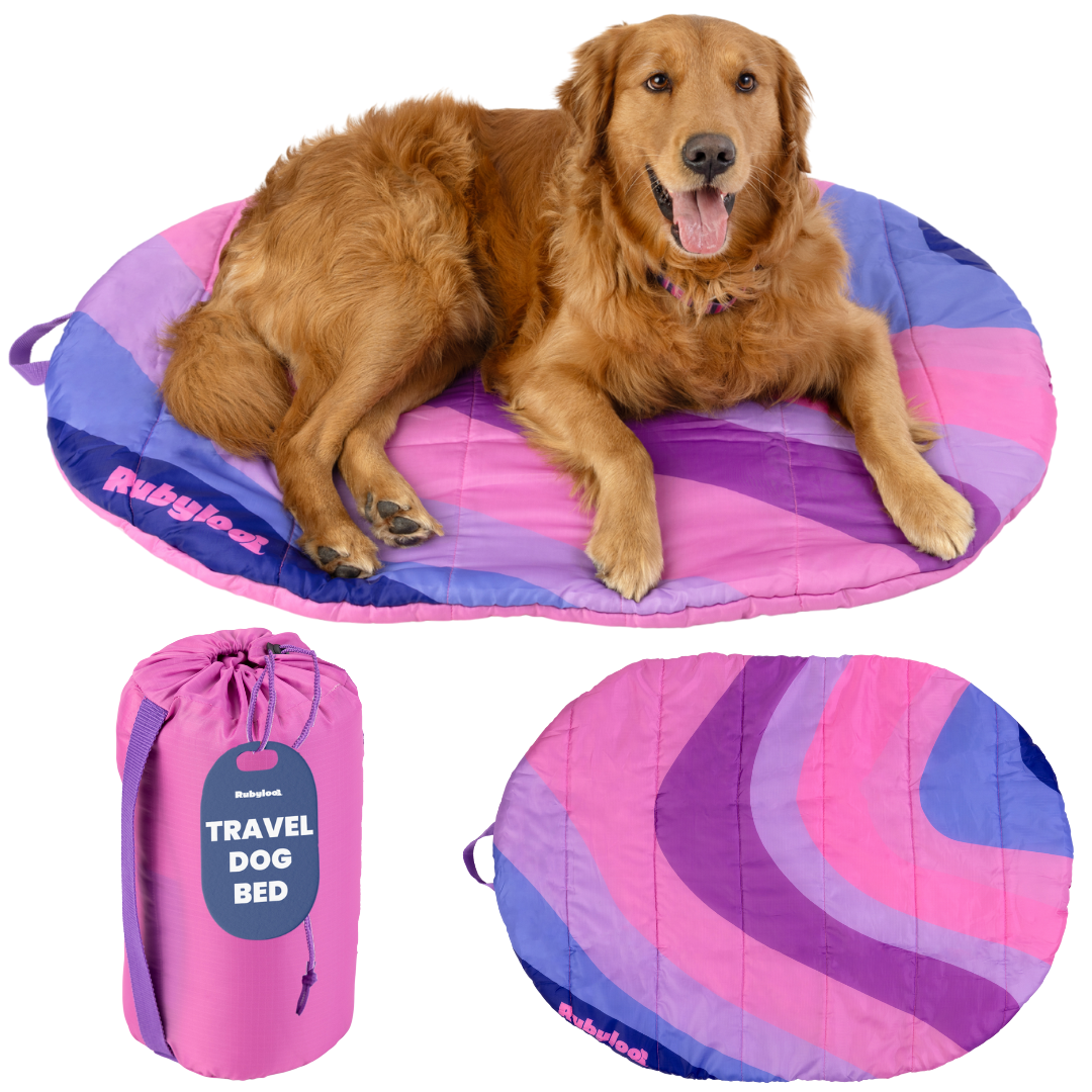 Travel Dog Bed set of 3 pink purple blue color-blocks; dog lounging on quilted bed; Rubyloo tag on Tampa Home & Garden Store
