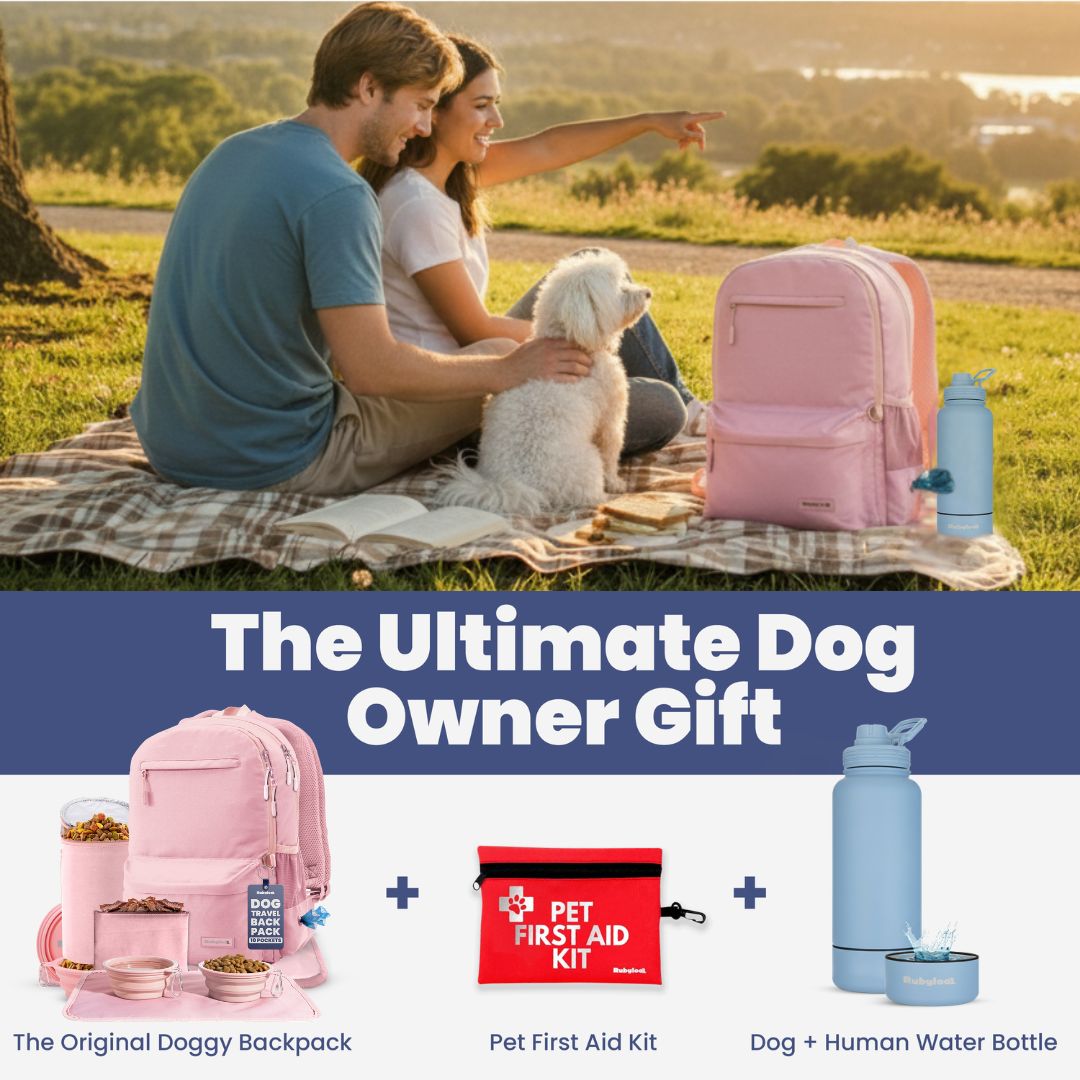 The Original Doggy Backpack by Rubyloo in pink with 3-item travel set bowls and blue bottle on Tampa Home & Garden Store