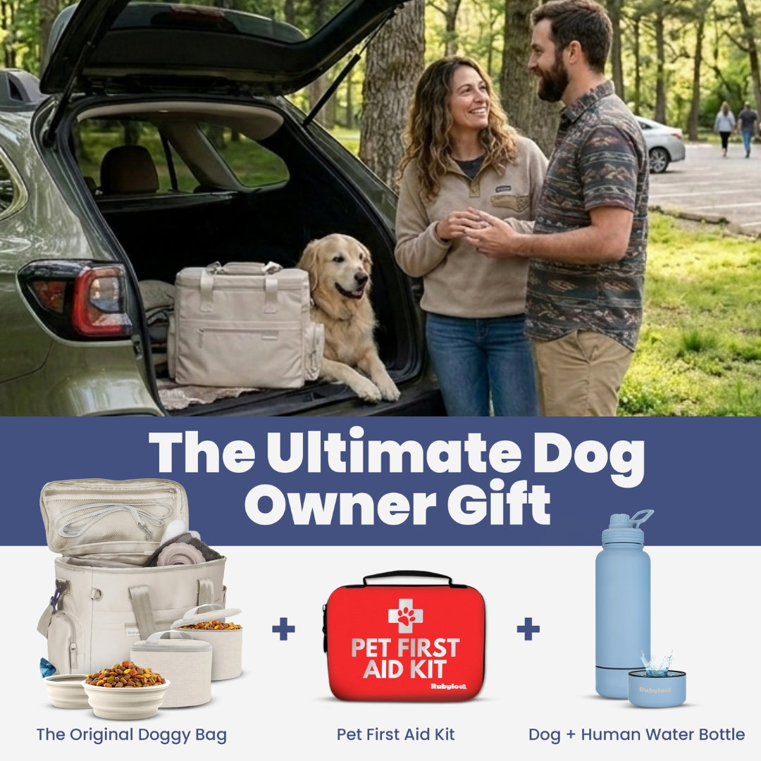 The Original Doggy Bag for Supplies beige travel bag in car trunk with a dog nearby on Tampa Home & Garden Store