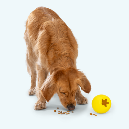 Rumbl Puzzle Toy for Dogs Treat Dispensing Fun
