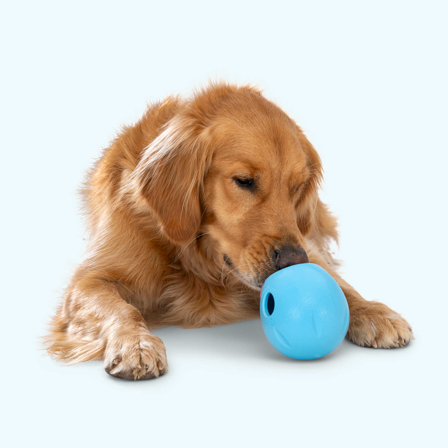 Rumbl Puzzle Toy for Dogs Treat Dispensing Fun