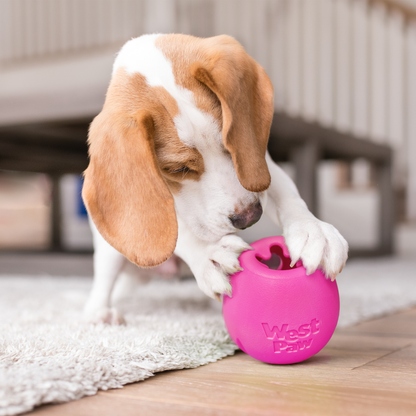 Rumbl Puzzle Toy for Dogs Treat Dispensing Fun