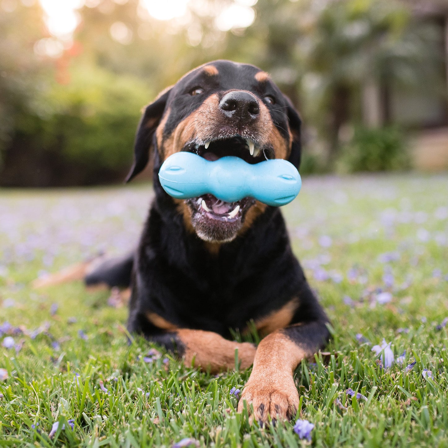Rumpus Tough Dog Chew Toy With Three Lobes