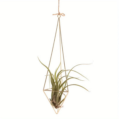 4 Metal Geometric Air Plant Stands and Holders