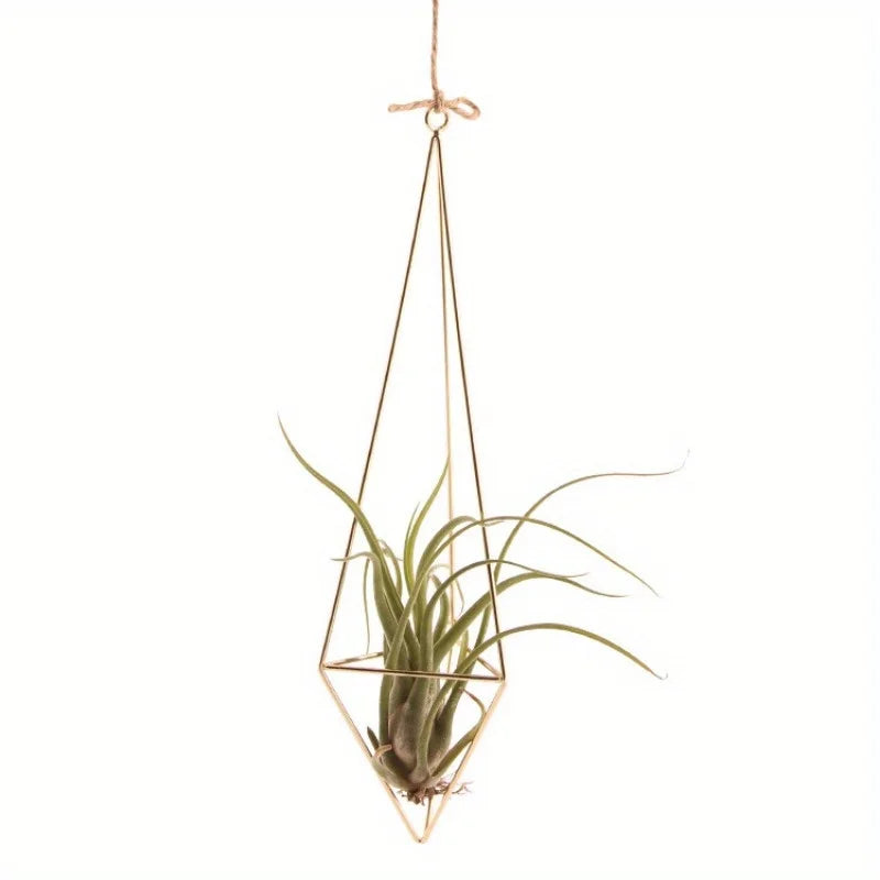 4 Metal Geometric Air Plant Stands for Home Decor