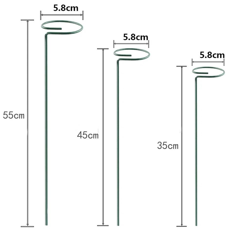 30 Single Stem Plant Support Stakes in the Yard