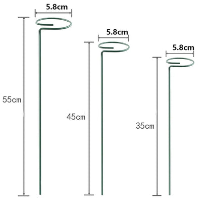 30 Single Stem Plant Support Stakes in the Yard