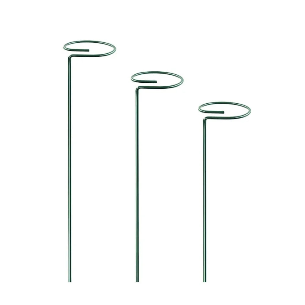 30 Single Stem Plant Support Stakes in the Yard